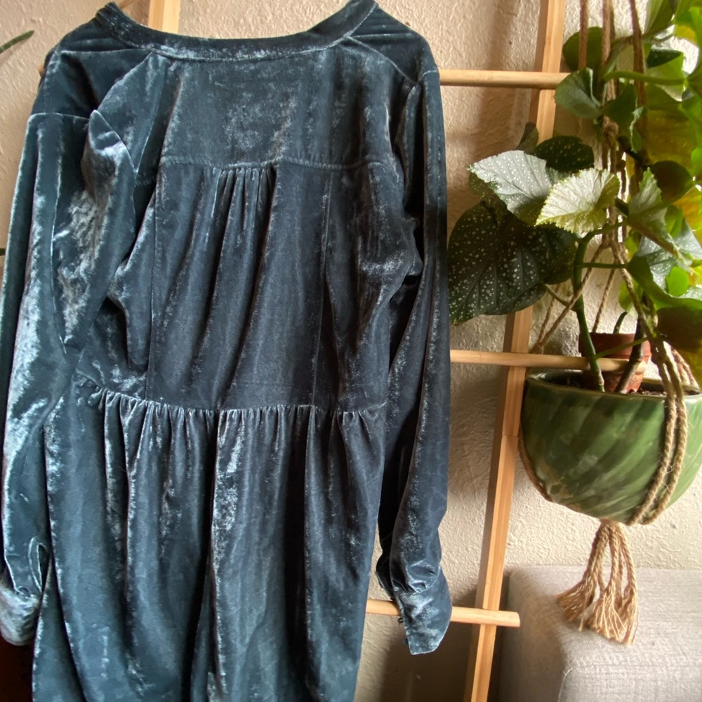 Velvet Dress - Picture 3 of 6